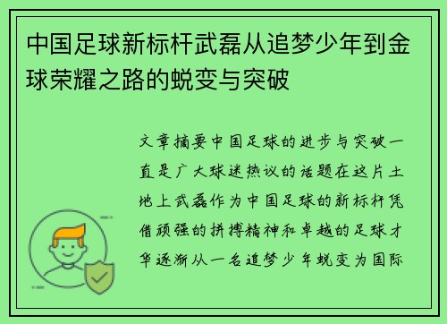 中国足球新标杆武磊从追梦少年到金球荣耀之路的蜕变与突破