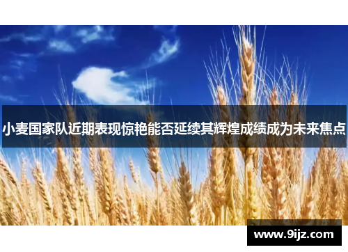 小麦国家队近期表现惊艳能否延续其辉煌成绩成为未来焦点